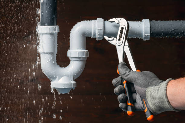 Professional Plumbing technician working in Pana, IL